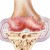 osteoartheritis1.jpg