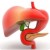 pancreatitis3.jpg